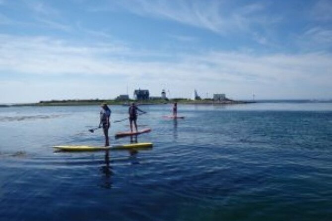 Fort Myers Beach: 1 Hour Guided SUP/Kayak Experience - What one hour really gives you