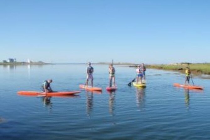 Fort Myers Beach: 1 Hour Guided SUP/Kayak Experience - Mangroves and shallow bays around Fort Myers Beach