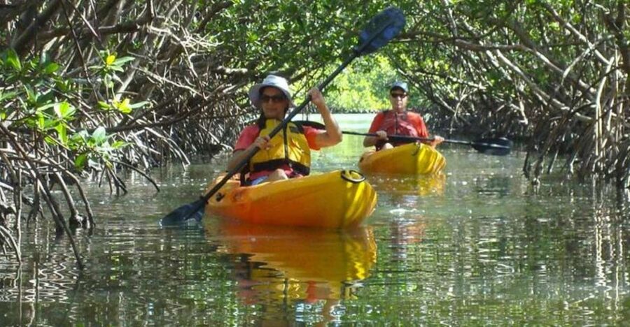 Fort Myers: Guided Kayak or SUP Tour in Pelican Bay - Pelican Bay by Paddleboard or Kayak