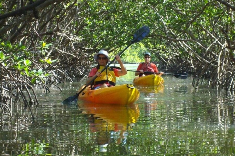 Fort Myers: Guided Kayak or SUP Tour in Pelican Bay - What the One-Hour Route Feels Like