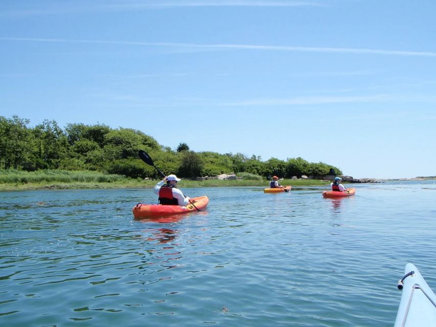 Fort Myers: Guided Kayak or SUP Tour in Pelican Bay - Mangroves, Houses, and the Real Scenery