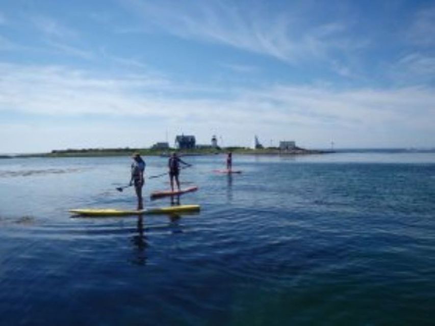 Fort Myers: Guided Kayak or SUP Tour in Pelican Bay - Booking Flexibility and Practical Details