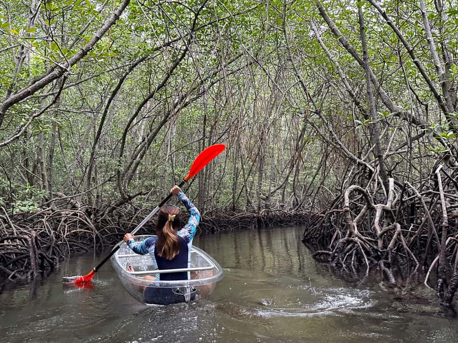 From Lembongan: Kayak/Paddleboard/Boat Mangrove Tour - Entering Mangrove Point by kayak or paddleboard