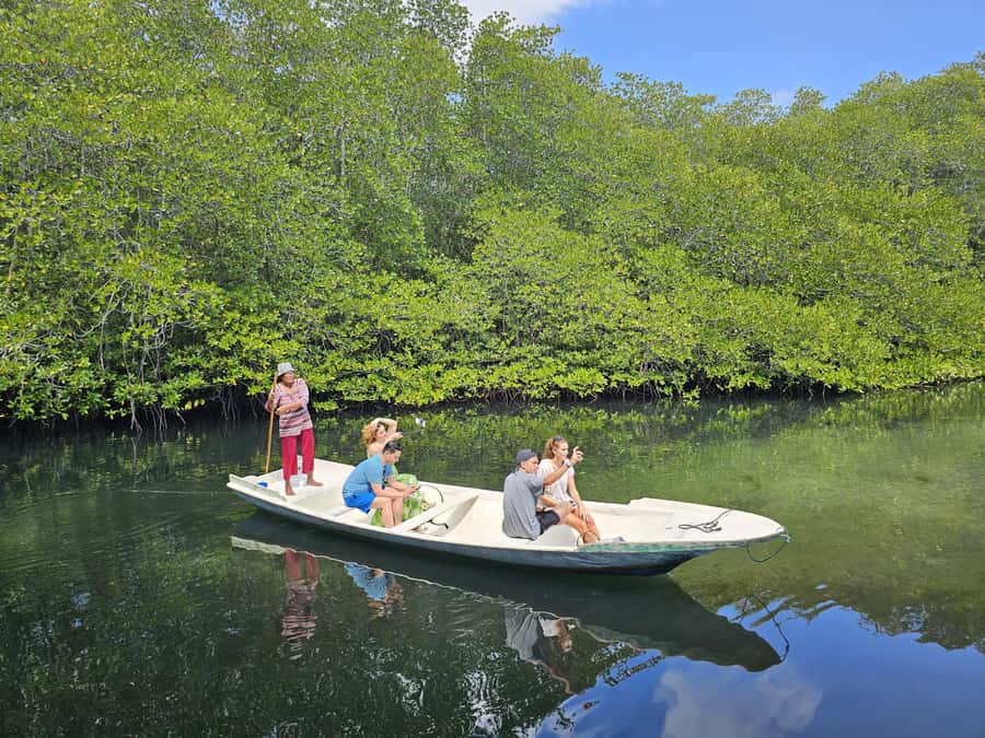 From Lembongan: Kayak/Paddleboard/Boat Mangrove Tour - Why the transparent kayak is better near open water
