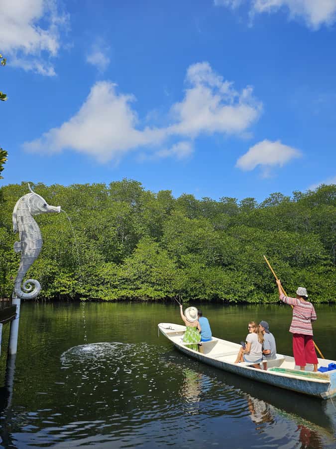 From Lembongan: Kayak/Paddleboard/Boat Mangrove Tour - Choosing between the four equipment options