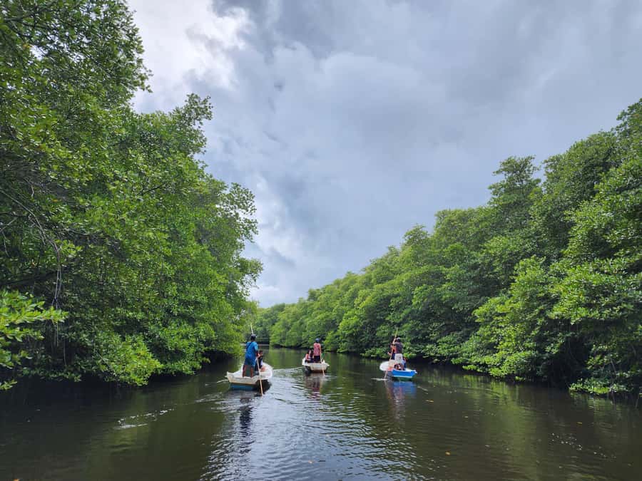 From Lembongan: Kayak/Paddleboard/Boat Mangrove Tour - Comfort, age limits, and what to bring