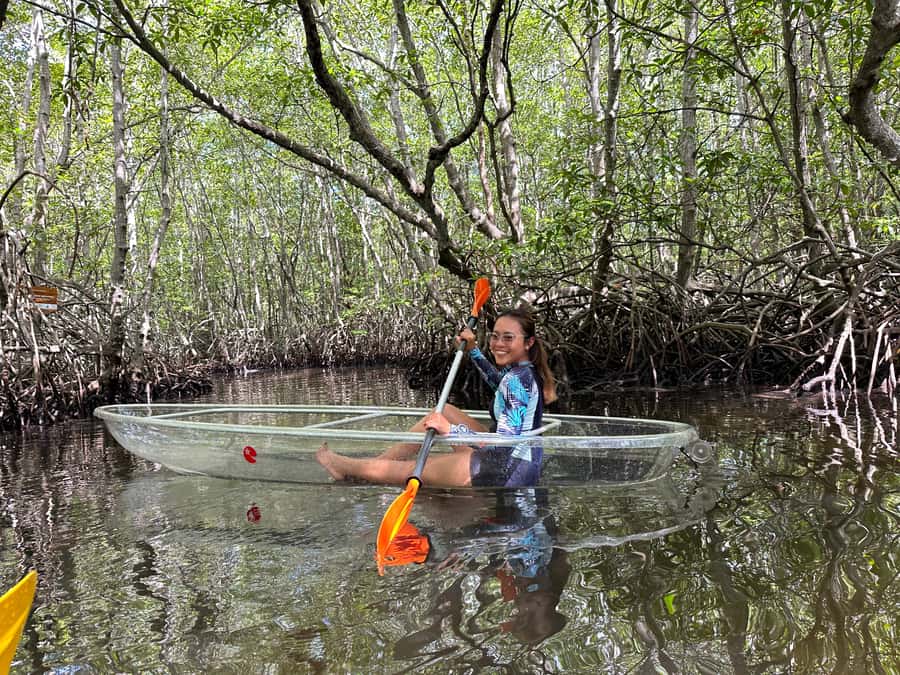 From Lembongan: Kayak/Paddleboard/Boat Mangrove Tour - Is $10 good value for Lembongan?