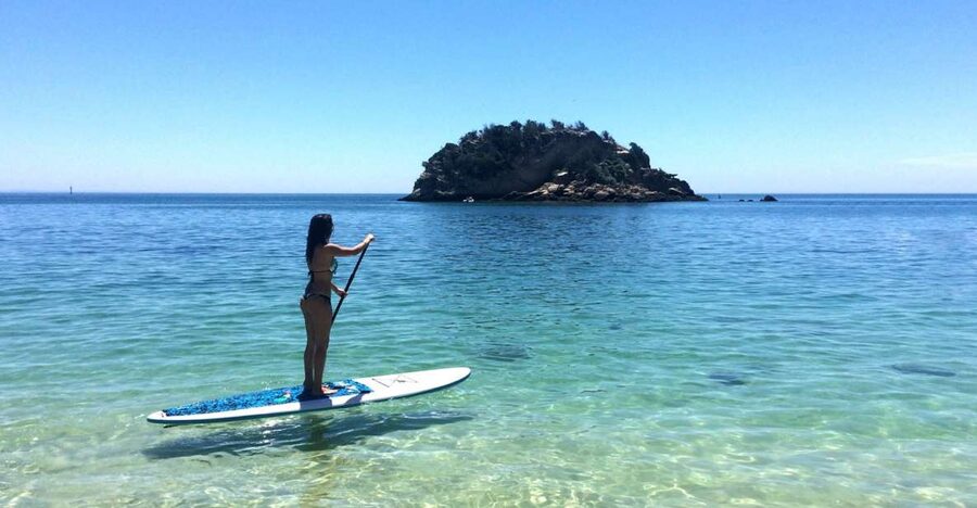 From Lisbon: Nature Park of Arrábida Paddleboarding - Sea caves with a Roman connection