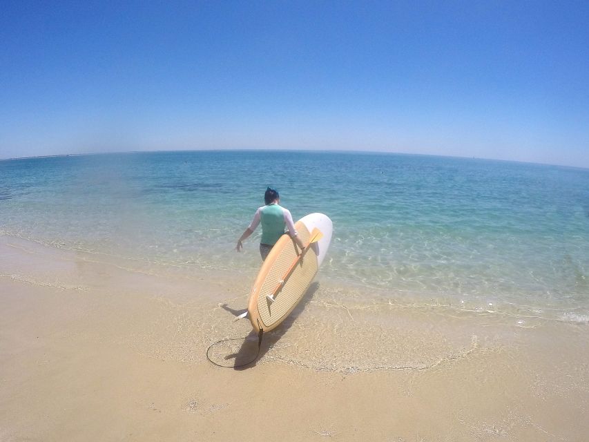 From Lisbon: Nature Park of Arrábida Paddleboarding - White sand, swimming, and an optional snorkel