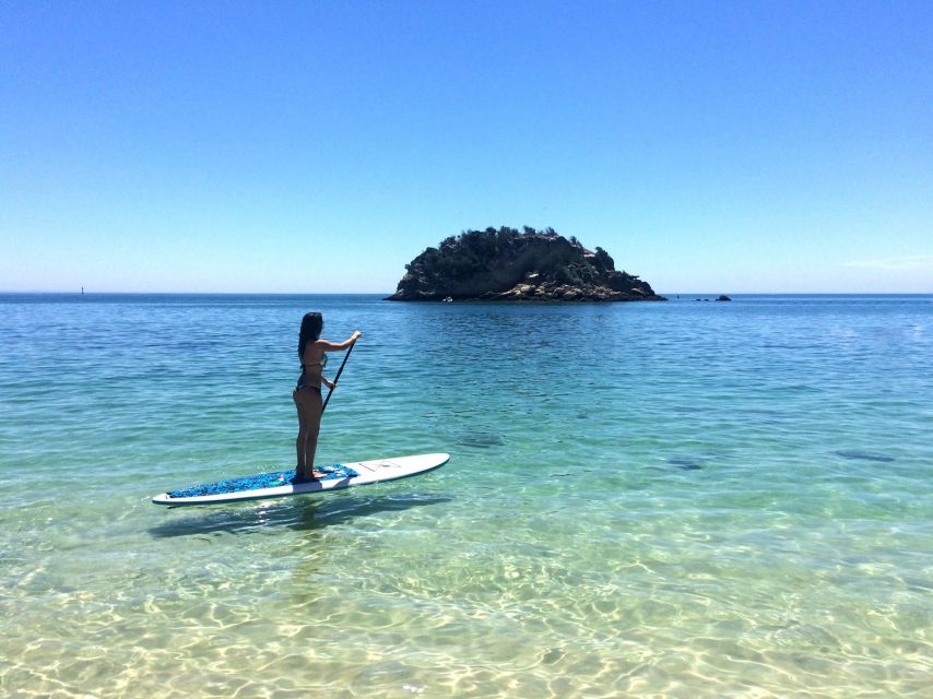 From Lisbon: Nature Park of Arrábida Paddleboarding - A picnic with local snacks