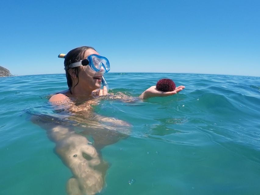From Lisbon: Nature Park of Arrábida Paddleboarding - Paddleboarding through the marine reserve