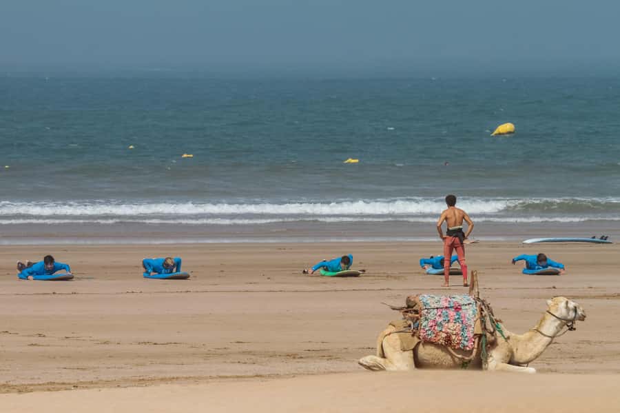 From Marrakesh: Essaouira Surfing Day Trip - From Marrakesh’s red streets to Essaouira’s Atlantic shore