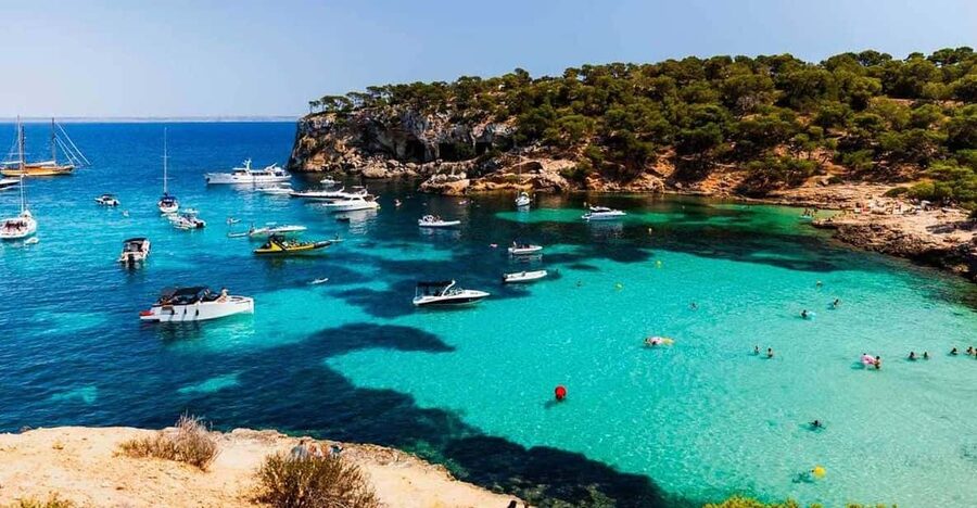 From Palma: Portal Vells Beach and Cave SUP & Snorkel Tour - Booking details worth knowing before you go