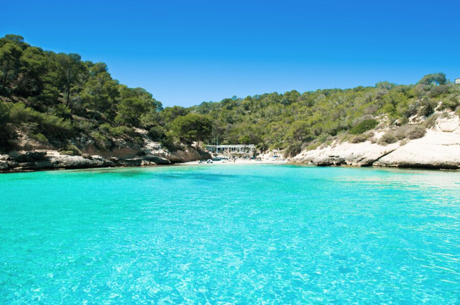 From Palma: Portal Vells Beach and Cave SUP & Snorkel Tour - Three hours at Platgeta de Portals Vells