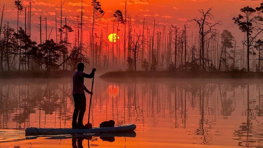 From Riga: Sunrise SUP Tour at Cenas Tīrelis - Meeting your guide and getting to the bog