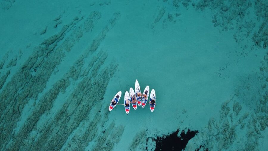 From Zadar: Full Day Dugi Otok Guided Paddle Board Tour - SUP instruction and paddling along the coves