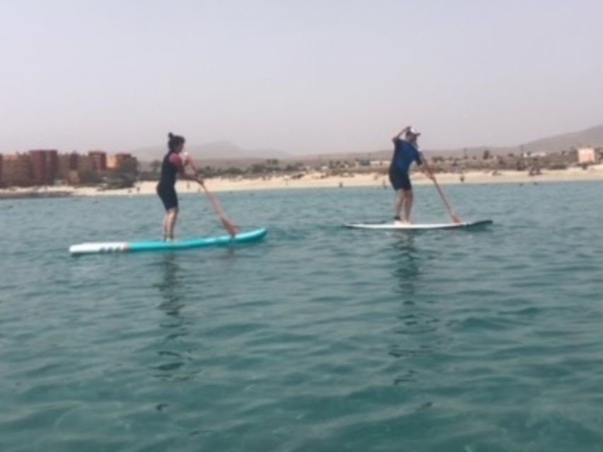 Fuerteventura: 1.5-Hour SUP Course - Caleta de Fuste - Key points to know before booking