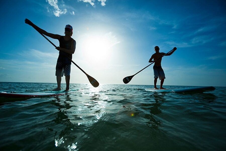 Fuerteventura: 1.5-Hour SUP Course - Caleta de Fuste - Starting at Hotel Eurostars Las Salinas
