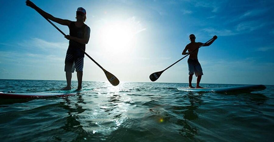 Fuerteventura: 1.5-Hour SUP Course - Caleta de Fuste - Safety, weather, and reading the water