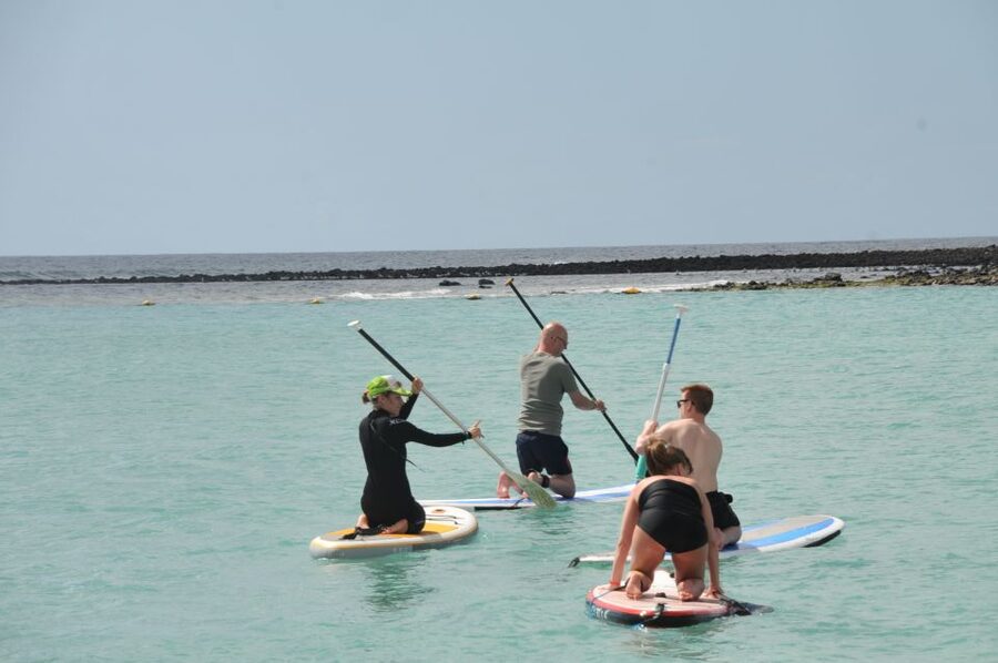 Fuerteventura: 1.5-Hour SUP Course - Caleta de Fuste - What to pack for Caleta de Fuste