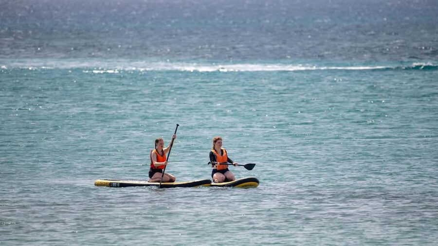 Fuerteventura: Explore Costa Calma Bay on a SUP Board! - One hour of paddling across Costa Calma Bay