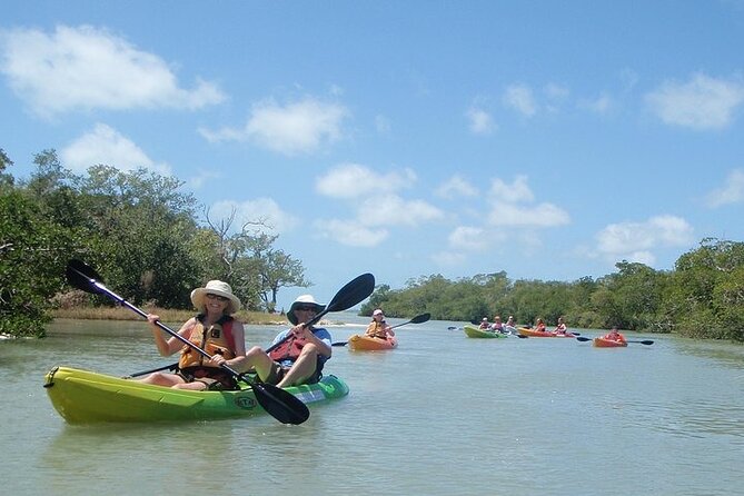 Full Day Kayak or SUP Rental (8hr) - Bunche Beach - Key points to know before you book