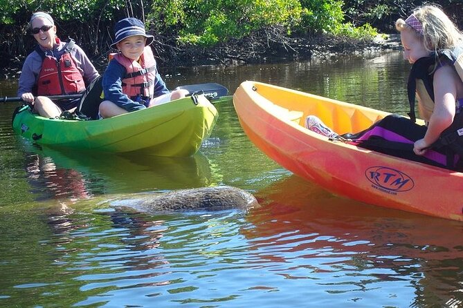 Full Day Kayak or SUP Rental (8hr) - Bunche Beach - Following the mangroves and tidal wetlands
