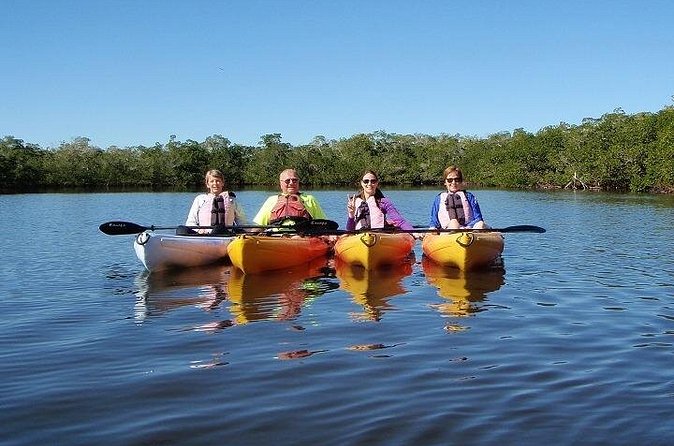 Full Day Kayak or SUP Rental (8hr) - Bunche Beach - Gulf water, wildlife, and the chance for surprises