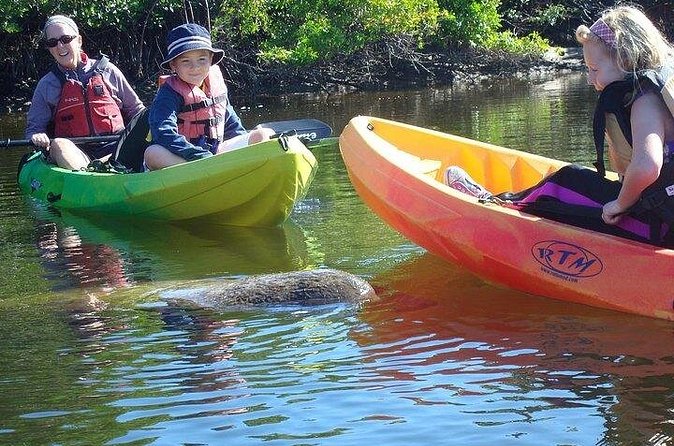 Full Day Kayak or SUP Rental (8hr) - Bunche Beach - What the $49.95 price really covers