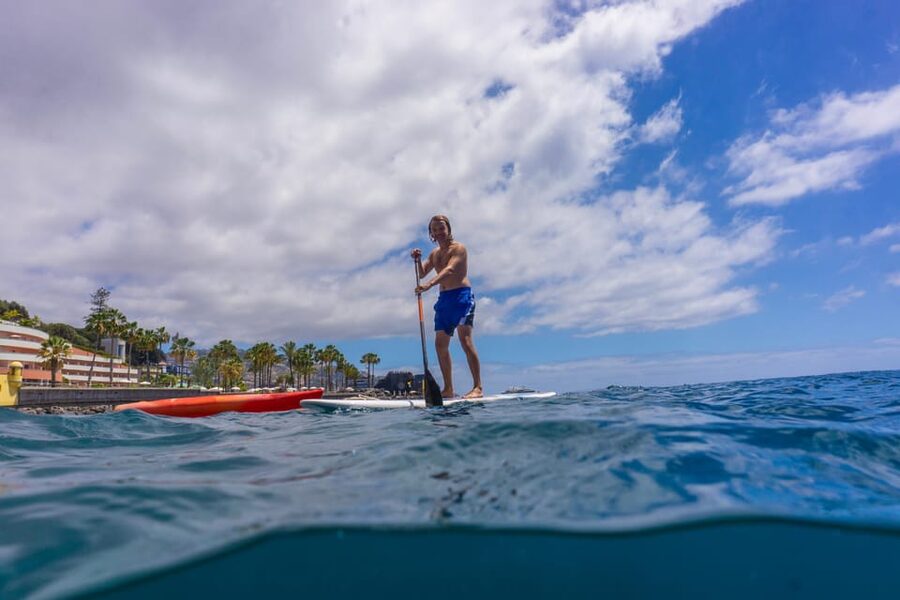 Funchal: SUP Rental or Guided tour with snorkeling - The short swim to the moored boards