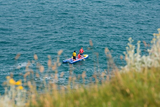 Giant Stand Up Paddle Boarding Experience in Newquay - Seals, snorkeling, and the wildlife factor