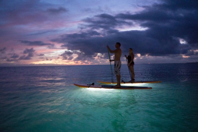 GLOW Stand Up Paddle at Twilight - Key points to know before booking