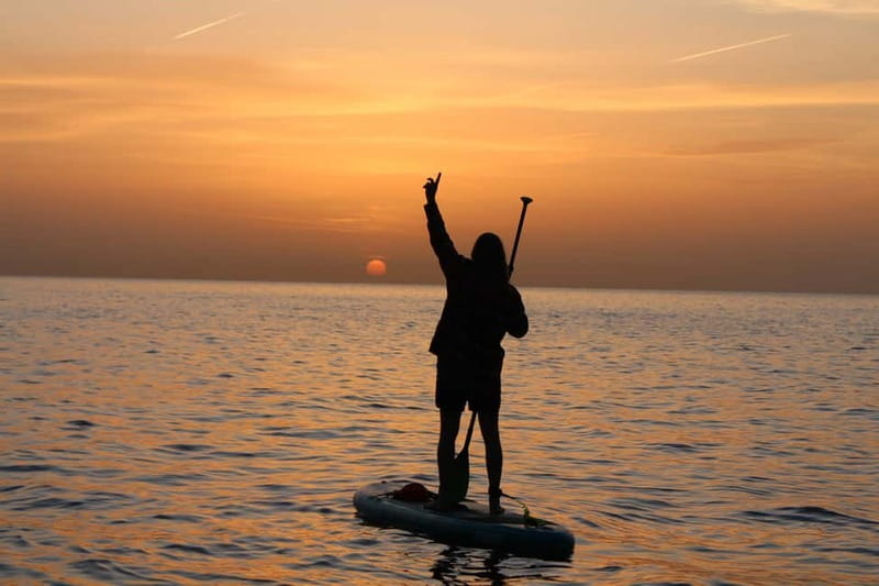 Golfo Aranci: Sup with dolphins, aperitif & photo shoot - Key points before you book