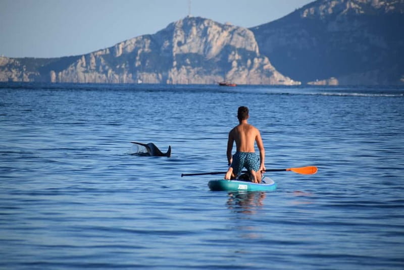 Golfo Aranci: Sup with dolphins, aperitif & photo shoot - Starting at Baracconi Beach