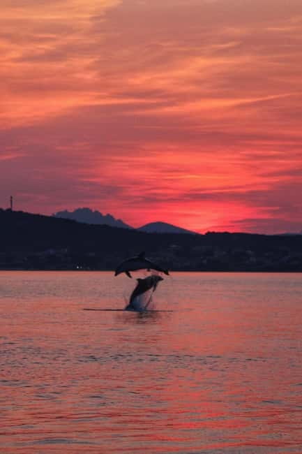 Golfo Aranci: Sup with dolphins, aperitif & photo shoot - The 55-minute search for dolphins