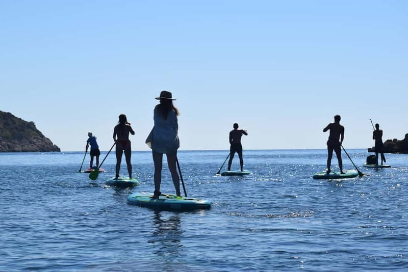 Golfo Aranci: Sup with dolphins, aperitif & photo shoot - Practical advice for a smoother outing
