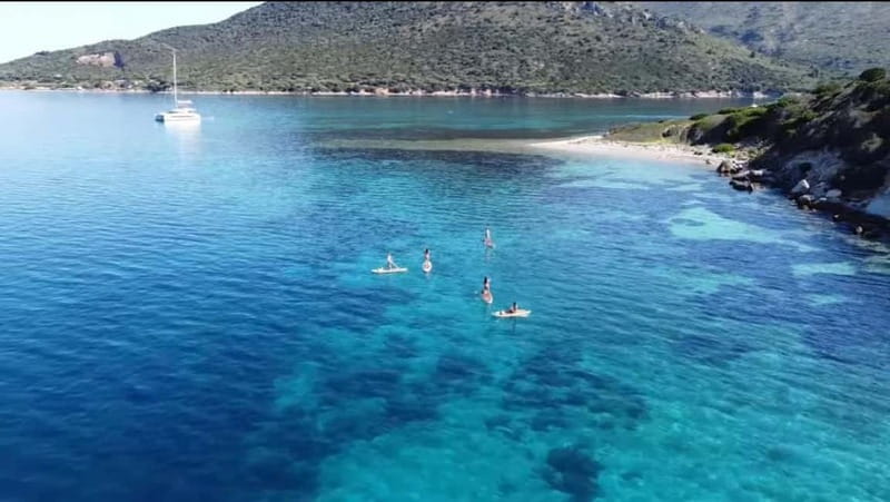Golfo Aranci tour SUP Paddleboard Dolphin watching, aperitif - Key points to know before booking