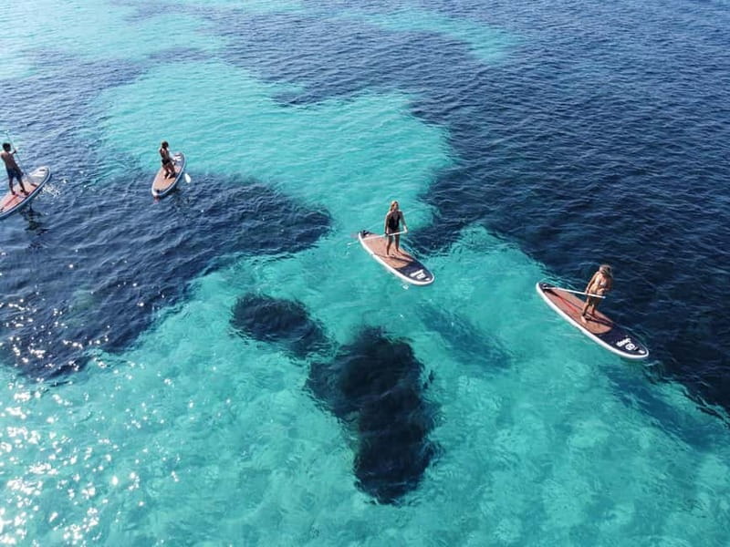 Golfo Aranci tour SUP Paddleboard Dolphin watching, aperitif - Why dolphins are only part of the appeal