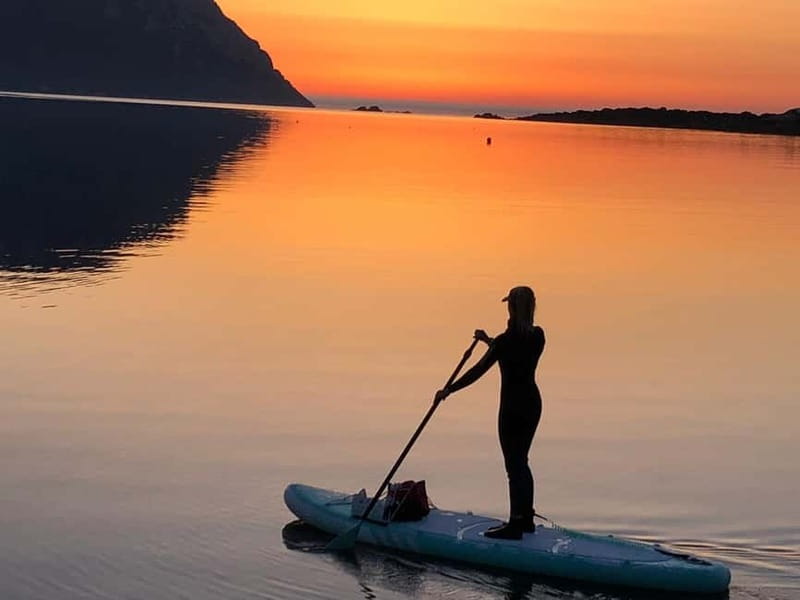 Golfo Aranci tour SUP Paddleboard Dolphin watching, aperitif - Paddling toward Cala Moresca