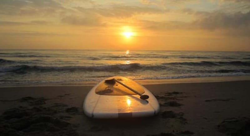 Gran Canaria: Stand-Up Paddle Lesson & Snorkeling Tour - A small-group coastal outing with a clear purpose