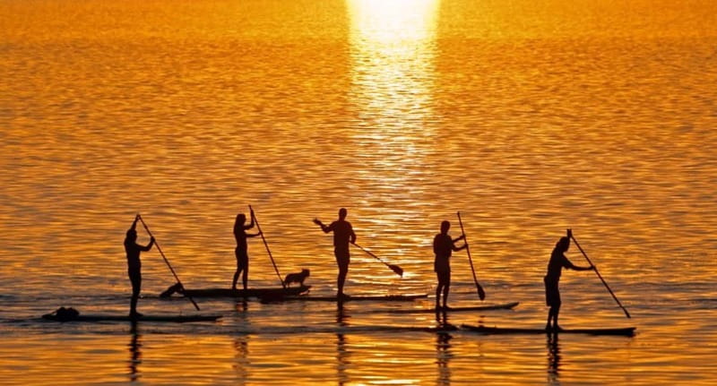 Gran Canaria: Stand-Up Paddle Lesson & Snorkeling Tour - What is included for $131