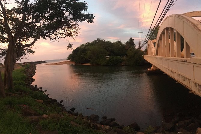Group Stand Up Paddle Lesson and Tour - Anahulu Stream and the search for green sea turtles