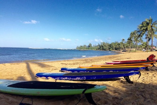 Group Stand Up Paddle Lesson and Tour - Guides who keep the mood calm and useful