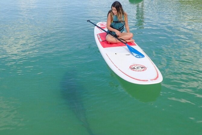 Guided Dolphin Eco Tour by Kayak & SUP - Fort Myers Beach, FL - A quiet route into Big Hickory Island Preserve