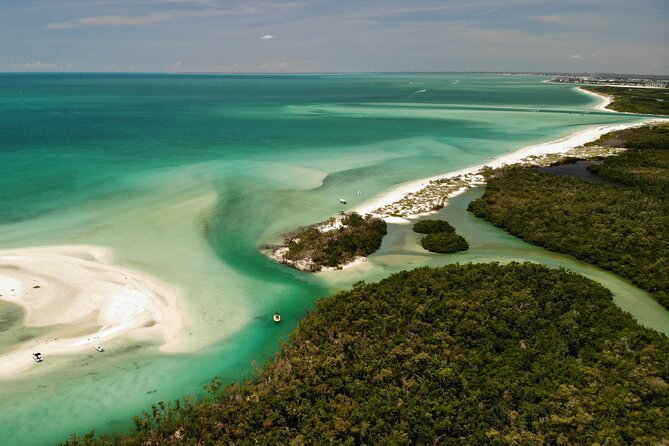 Guided Dolphin Eco Tour by Kayak & SUP - Fort Myers Beach, FL - Mangrove tunnels, birds, crabs, and changing conditions