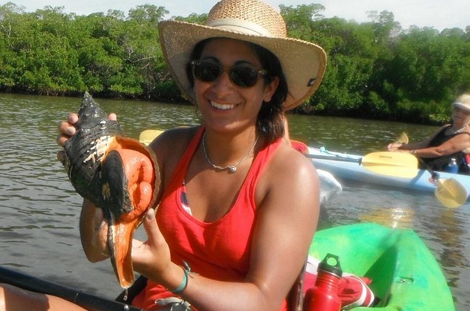 Guided Dolphin Eco Tour by Kayak & SUP - Fort Myers Beach, FL - Why the shelling beach earns its place
