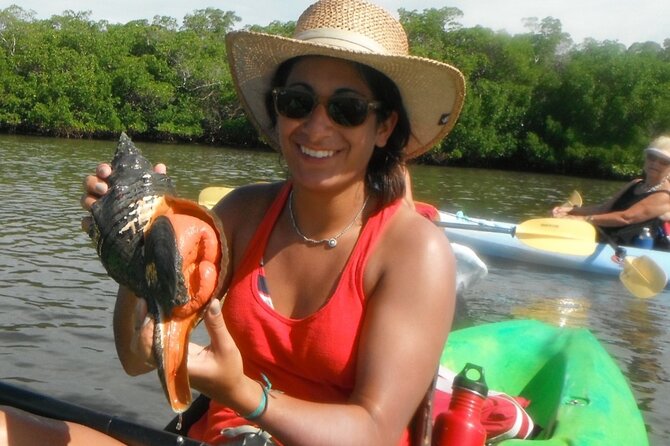 Guided Dolphin Eco Tour by Kayak & SUP - Fort Myers Beach, FL - Who should book this Fort Myers Beach kayak tour