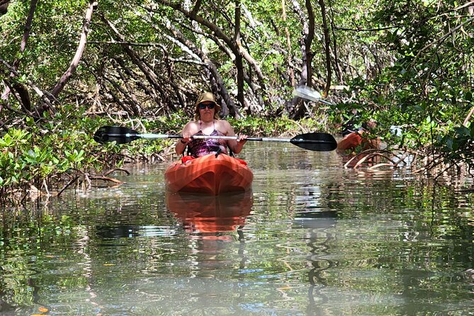 Guided Dolphin Eco Tour by Kayak & SUP - Fort Myers Beach, FL - What the 2.5-hour route feels like
