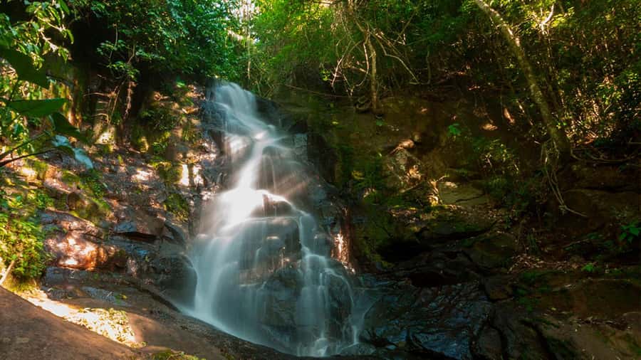 Guided Hike and Kayak or SUP River Tour w/ Transfer - What to bring for a smoother day