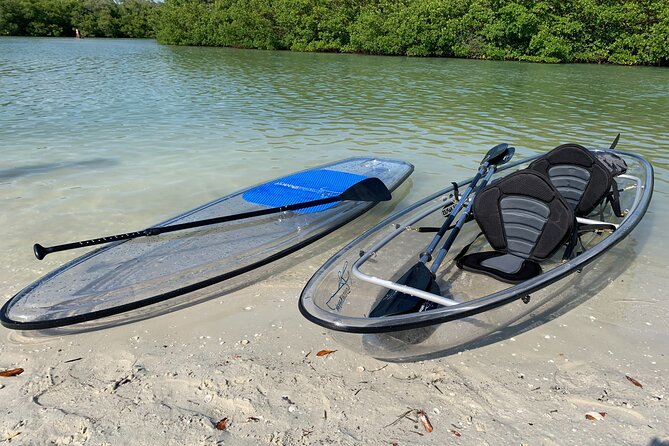 Guided Island EcoTour: CLEAR/Standard Kayak, SUP - Bonita Springs - Picking between a standard kayak, CLEAR kayak, and SUP